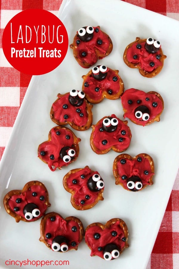 Ladybug party by love the day