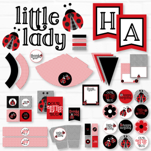 Ladybug Party Ideas by Lindi Haws of Love The Day