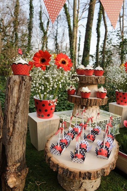 Ladybug Party Ideas:: Dessert Table on Love The Day