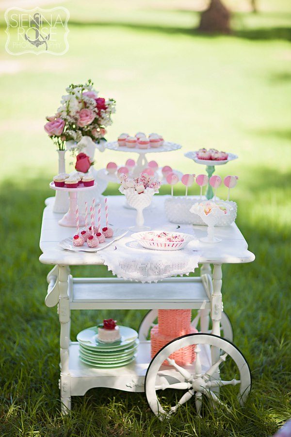 Strawberry shortcake tea party feature