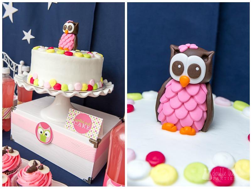 Owl Cake perfect for your Night Owl Slumber Party.