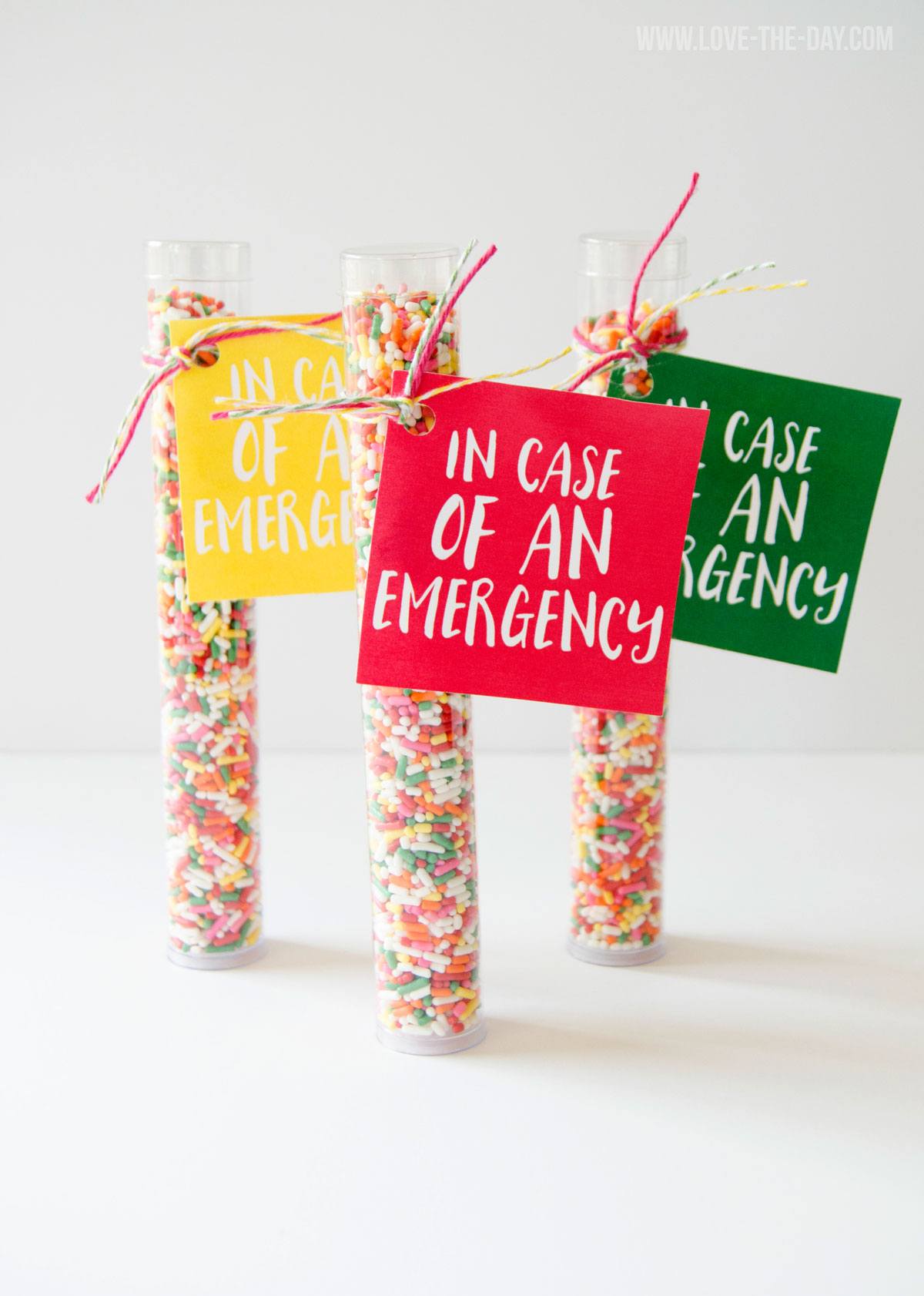 ‘in case of an emergency’ free printable