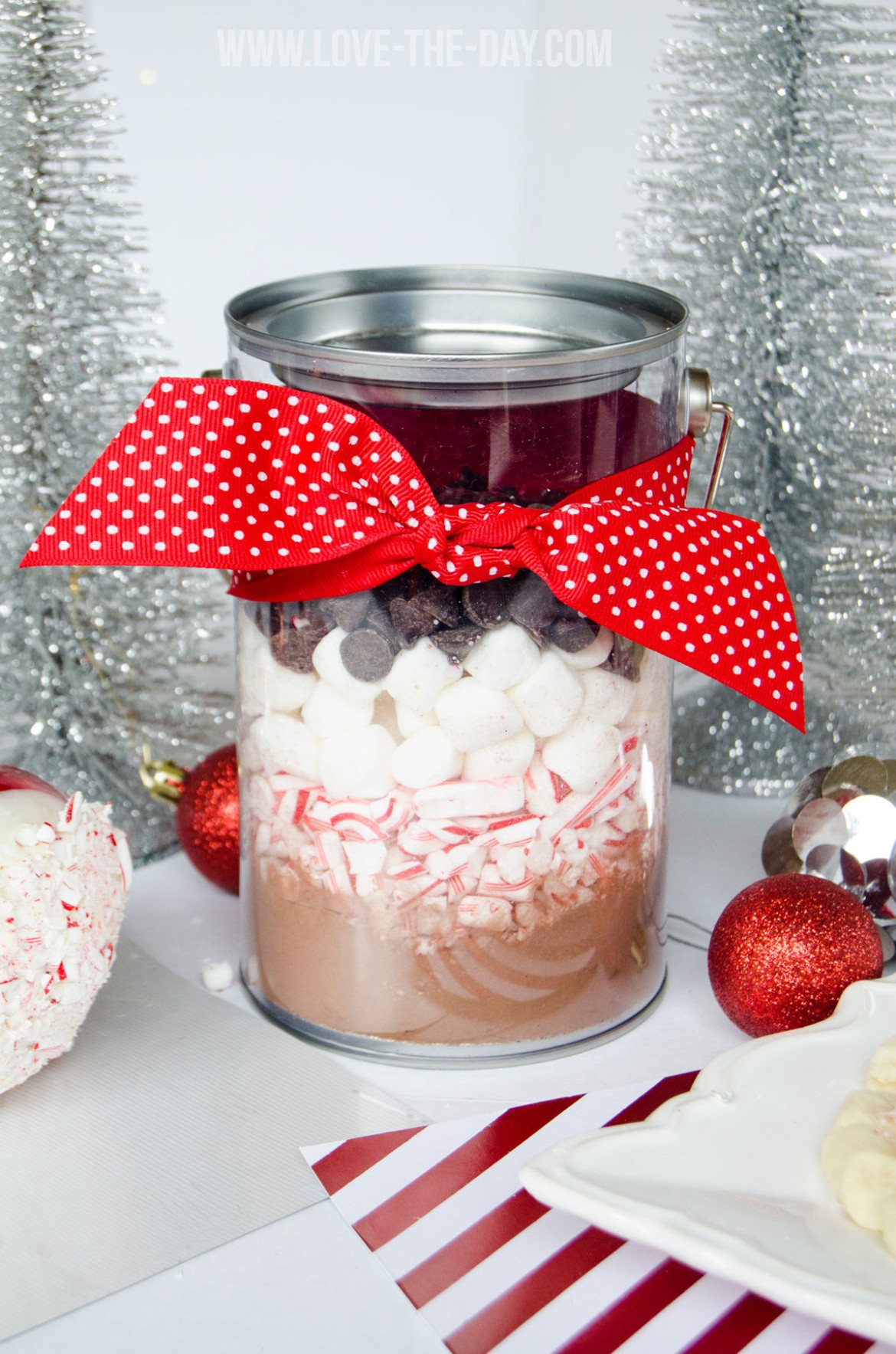 DIY Peppermint Gift Ideas - Love The Day