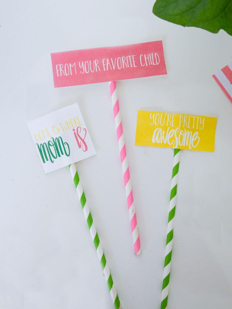 Mother's Day Gift Idea & FREE Printable Gift Tags by Lindi Haws of Love The Day