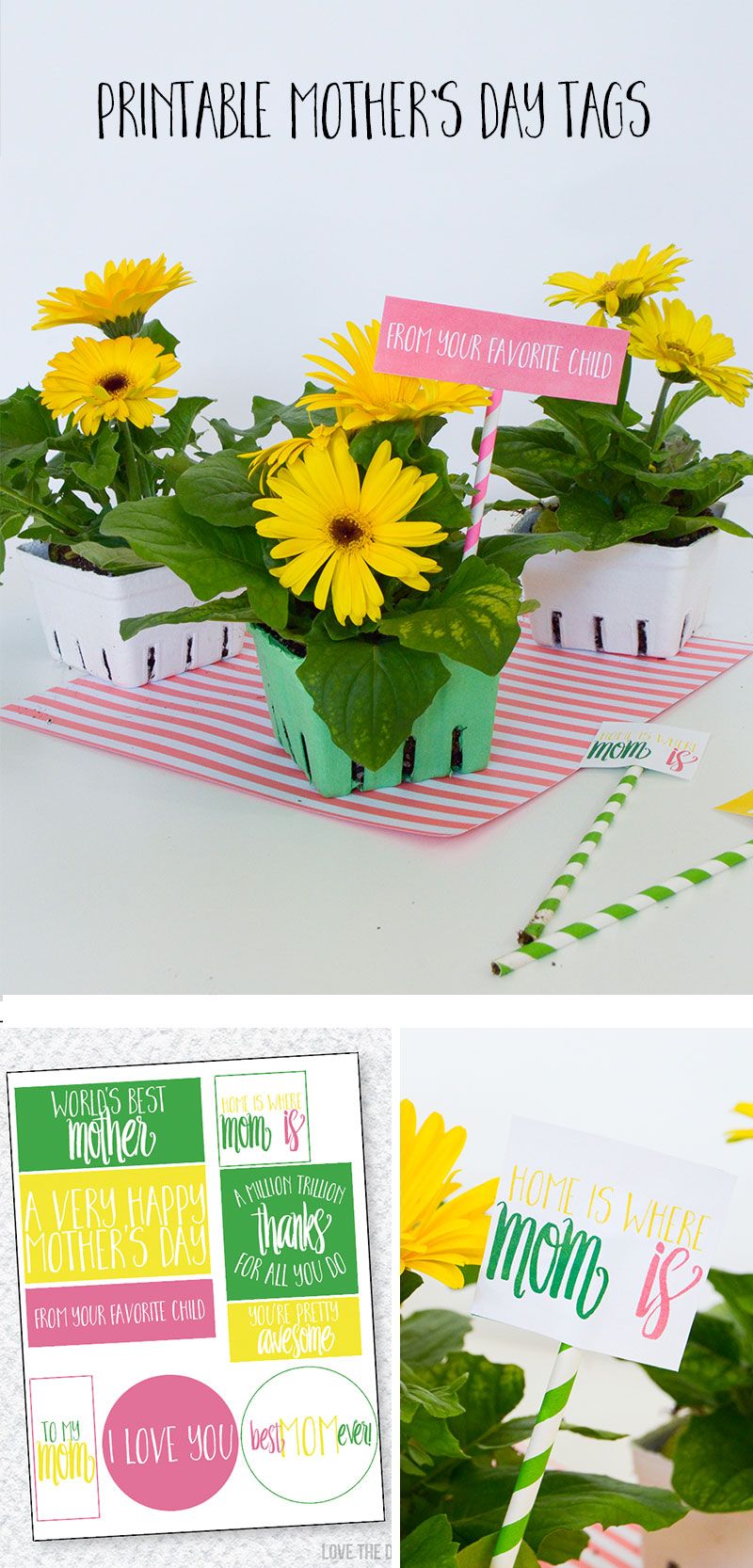 Mother's Day Gift Idea & FREE Printable Gift Tags by Lindi Haws of Love The Day