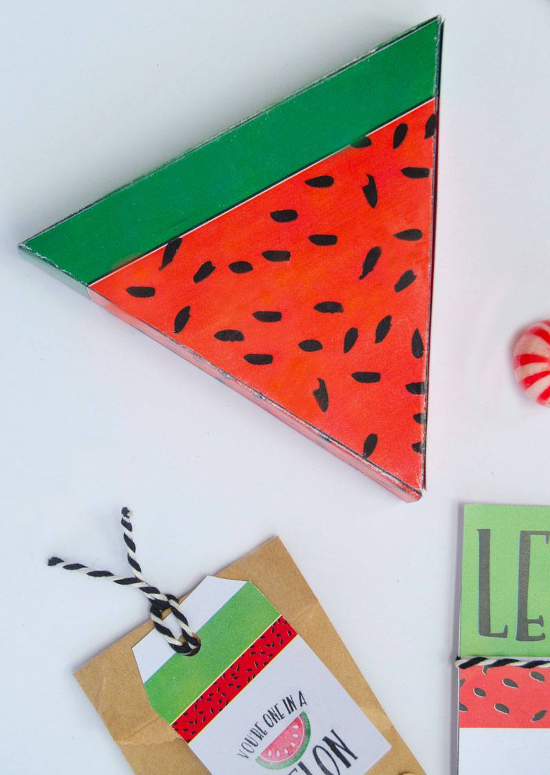 Let's Party! Watermelon Ideas with the Silhouette Mint by Lindi Haws of Love The Day