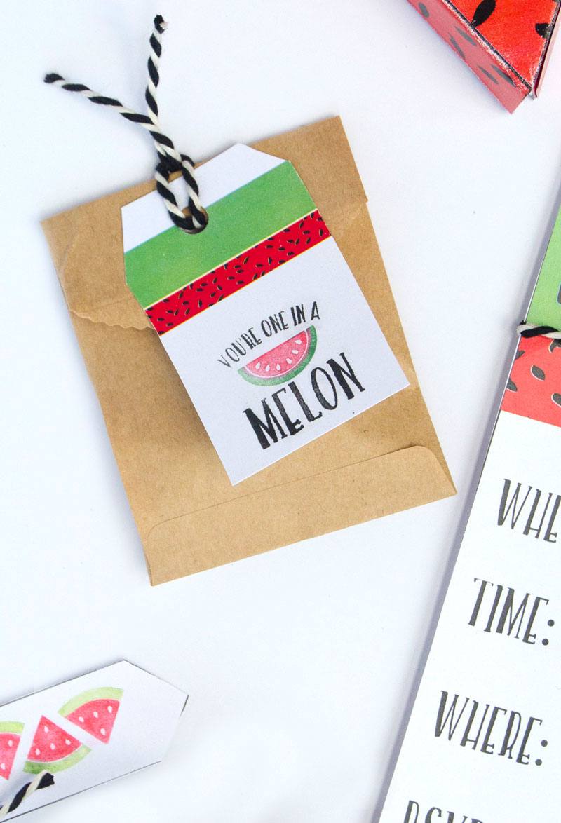 Let's Party! Watermelon Ideas with the Silhouette Mint by Lindi Haws of Love The Day