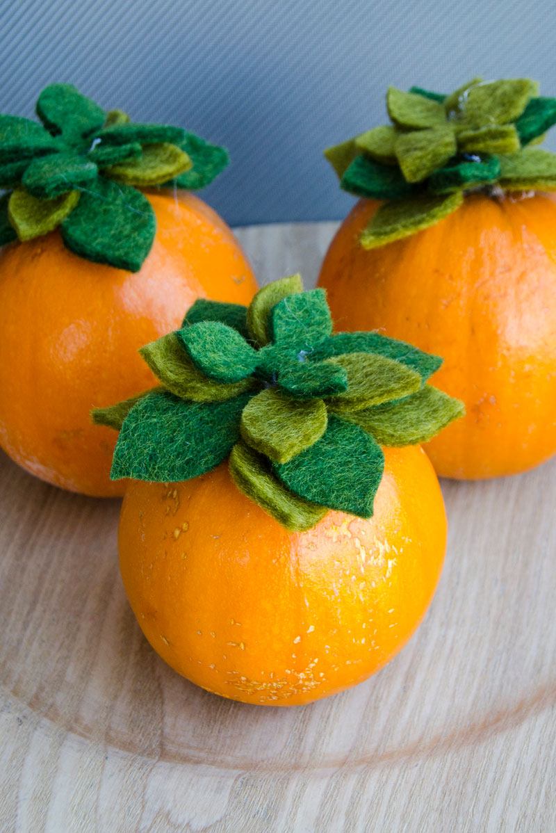 DIY Succulent Pumpkins by Lindi Haws of Love The Day
