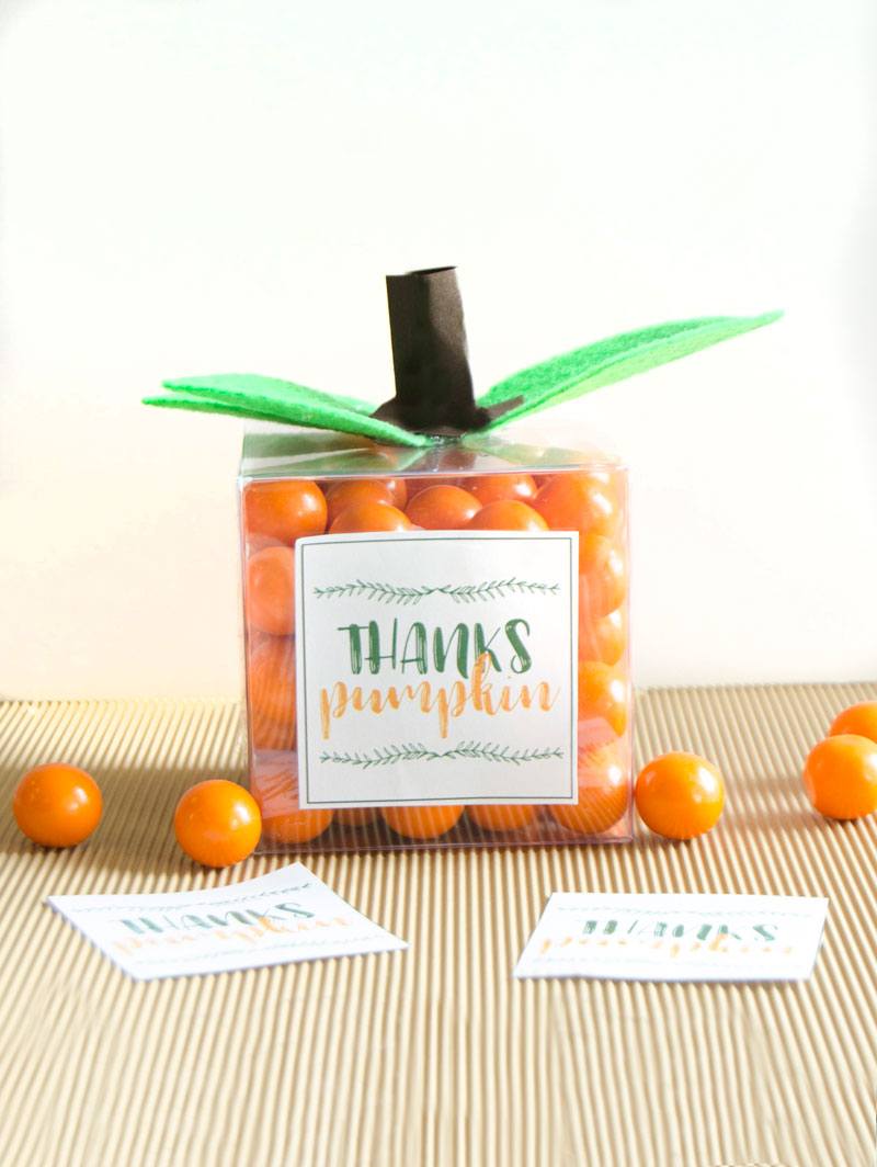 DIY Pumpkin Party Favors by Lindi Haws of Love The Day