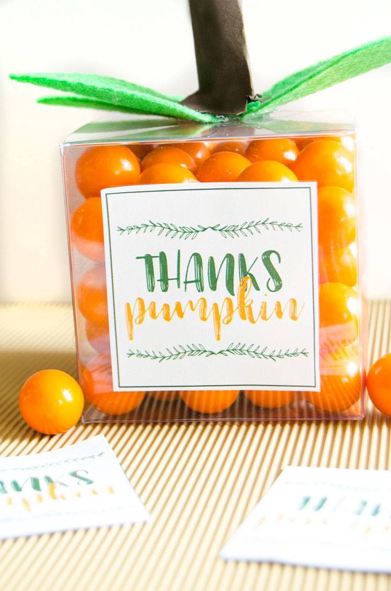 DIY Pumpkin Party Favor by Lindi Haws of Love The Day