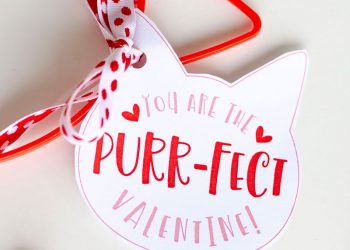 Kitty Valentine Tag & Printable by Lindi Haws of Love The Day