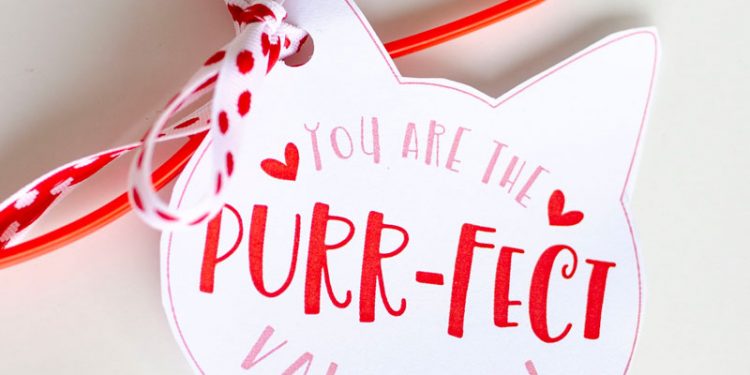 Kitty Valentine Tag & Printable by Lindi Haws of Love The Day