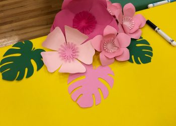 Activity Days Camp Ideas - Be A Pineapple by Lindi Haws of Love The Day