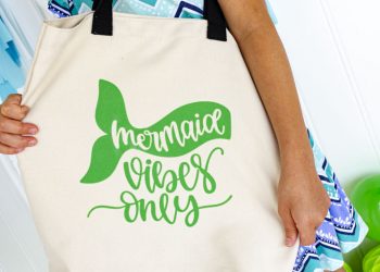 Introducing….cricut infusible ink