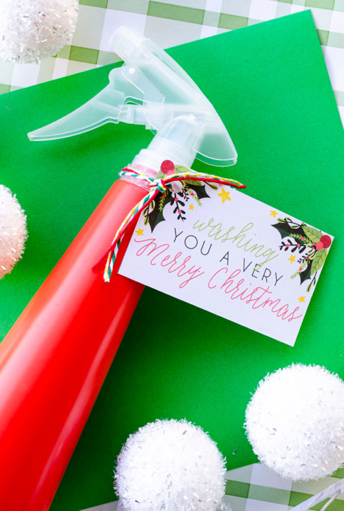 Inexpensive Neighbor Gift Idea by Lindi Haws of Love The Day