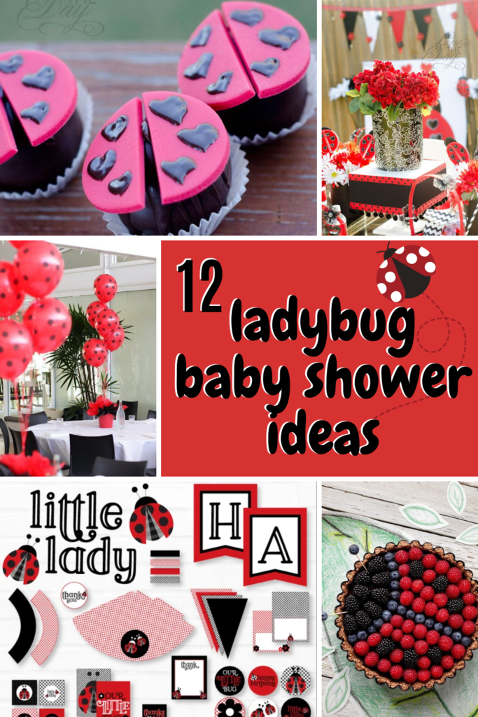 12 ladybug baby shower ideas